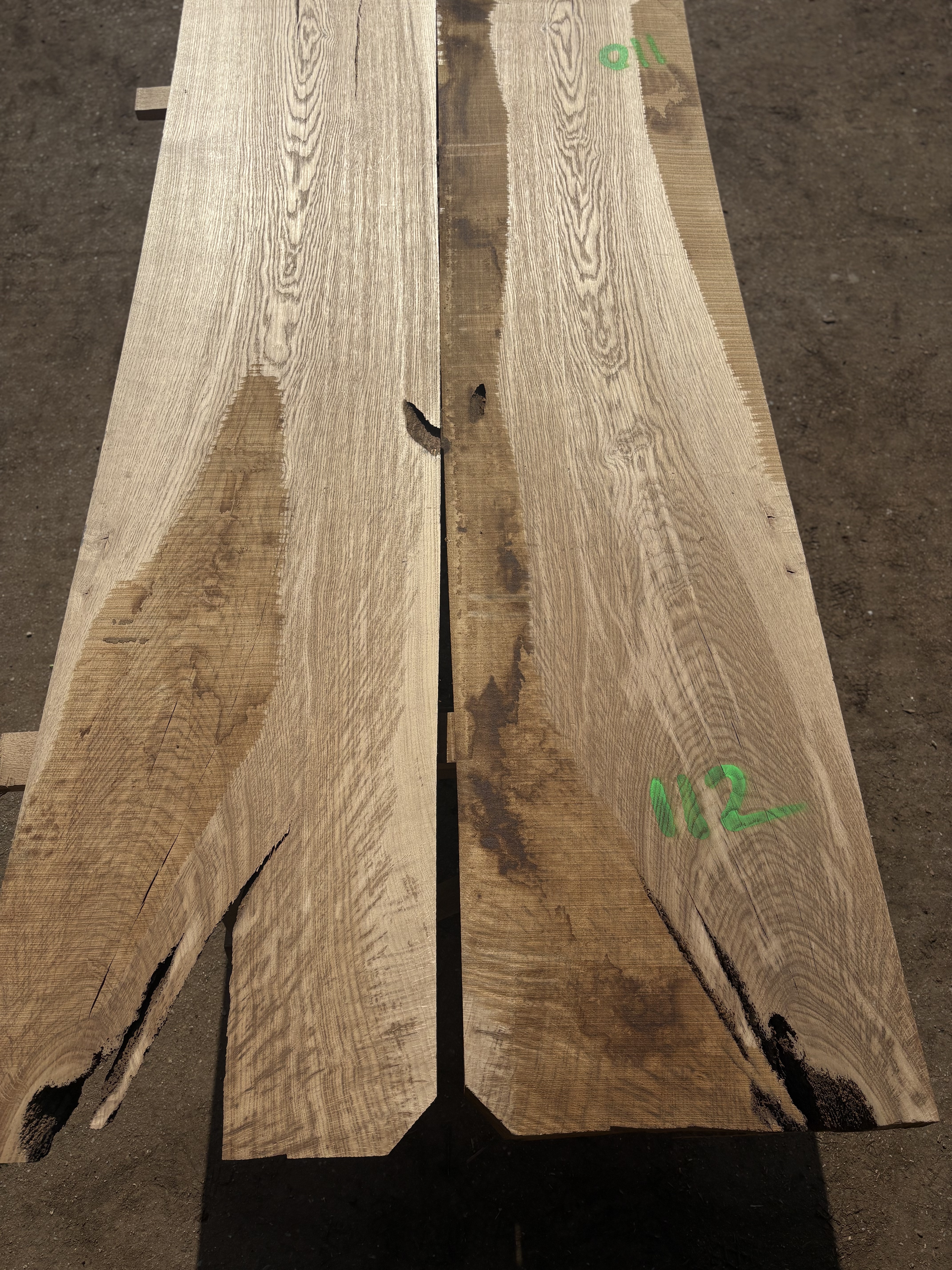 Oak - P5-1327
