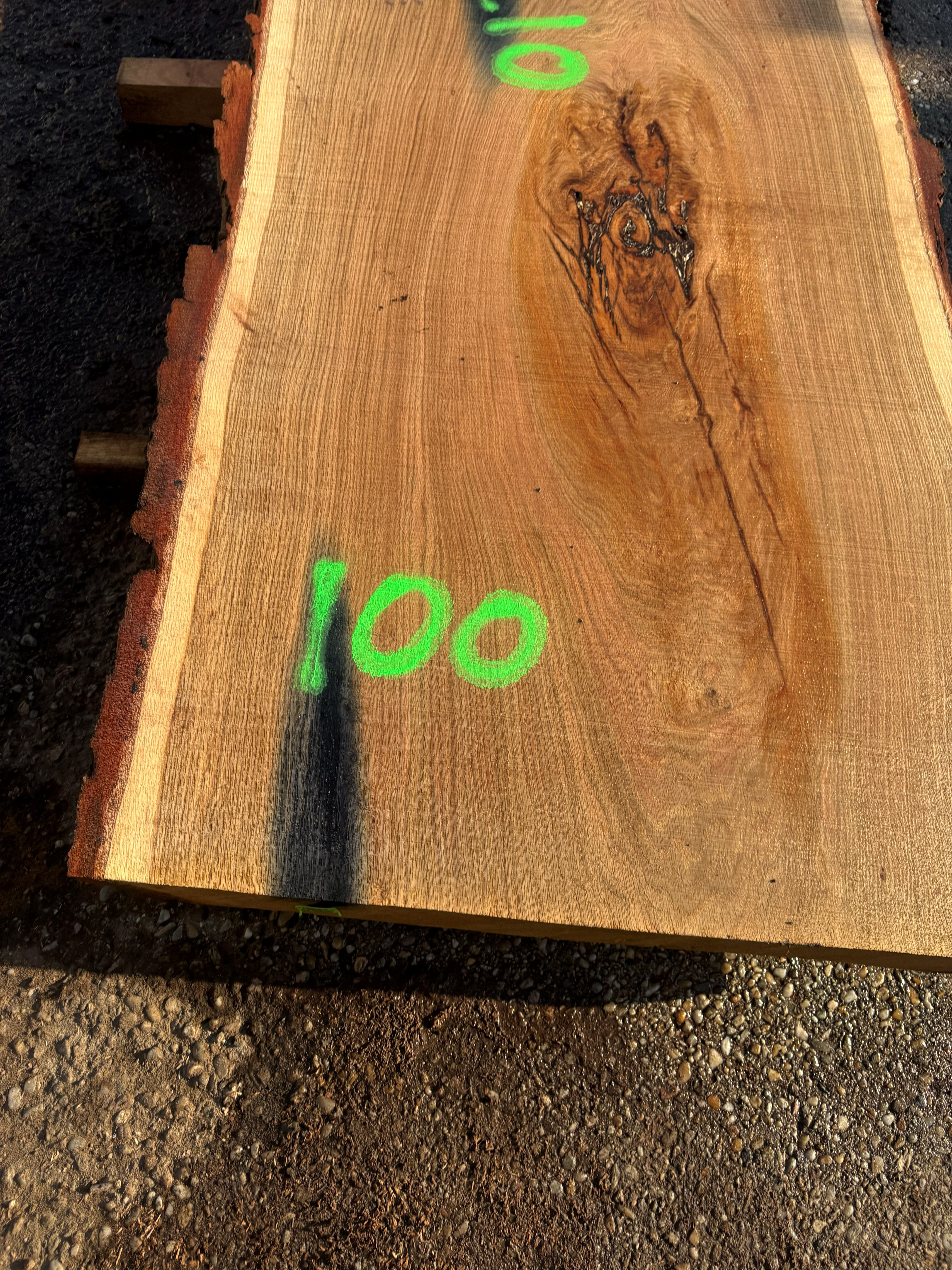 Oak - P2-811