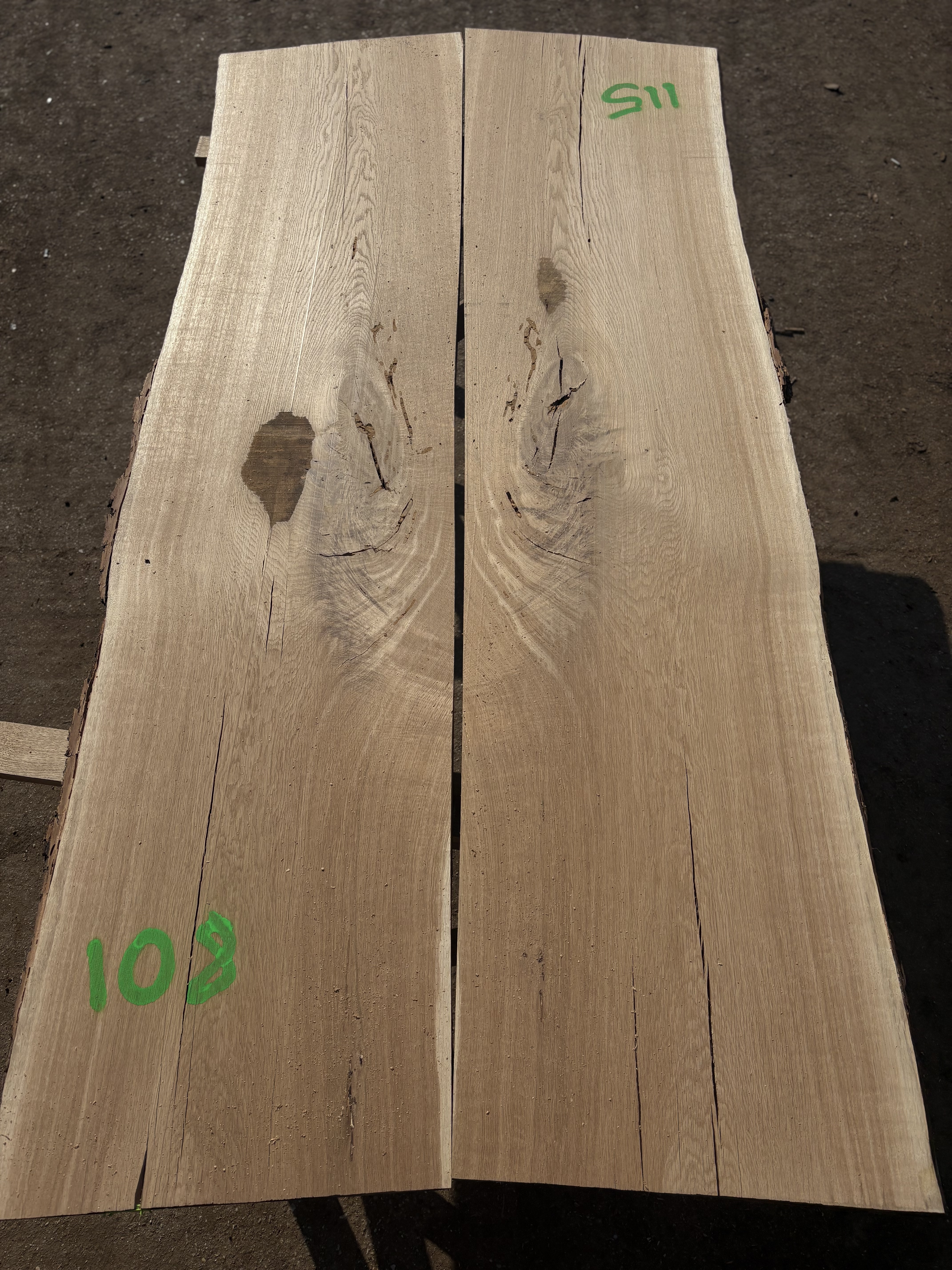 Oak - P4-1439