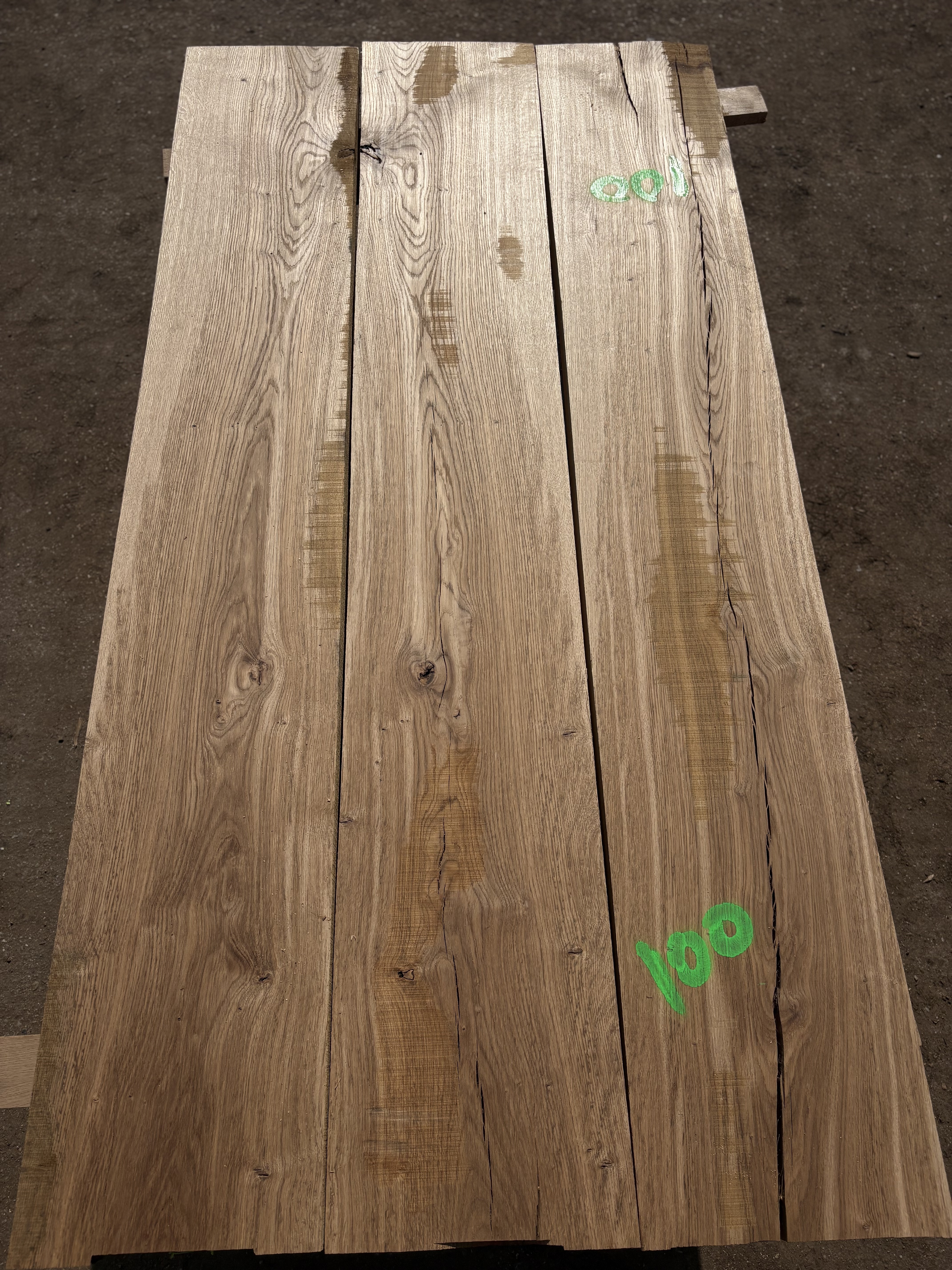 Oak - P5-1332