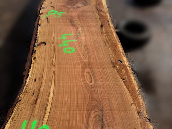 Oak - P1-807