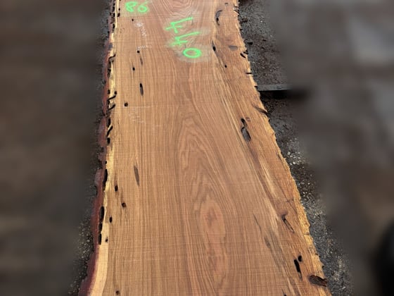 Oak - P1-804