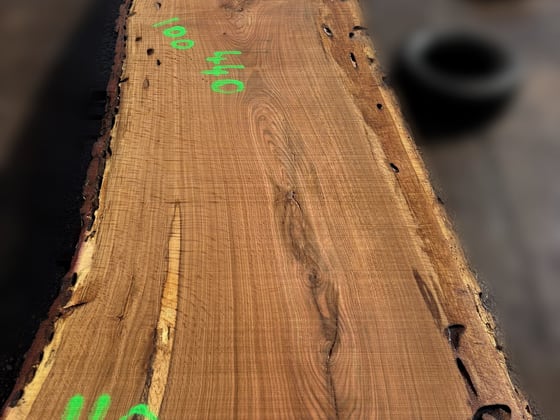 Oak - P1-806