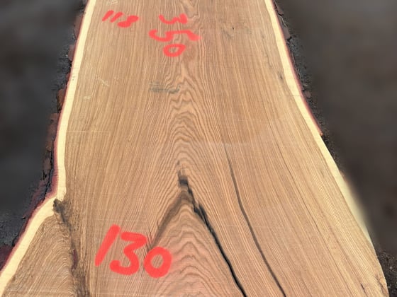 Oak - P8-1922