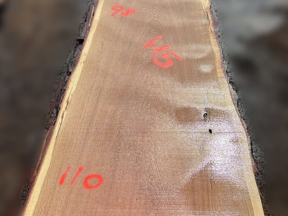 Oak - P5-1818
