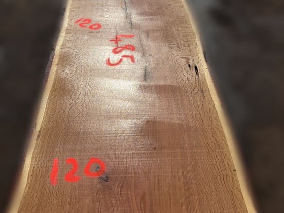 Oak - P5-1813