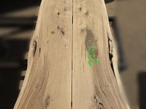 Oak - P8-1354